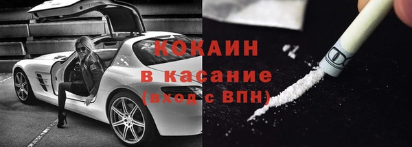 прущие грибы Абинск
