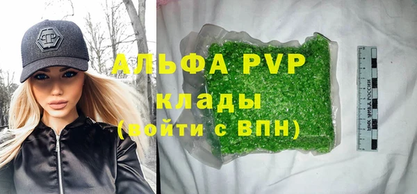 прущие грибы Абинск