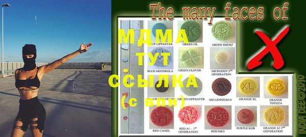 молекула духа Алексеевка