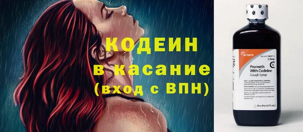 хмурый Алзамай