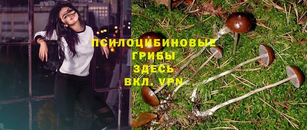 хмурый Алзамай