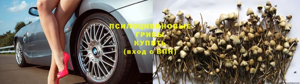 хмурый Алзамай